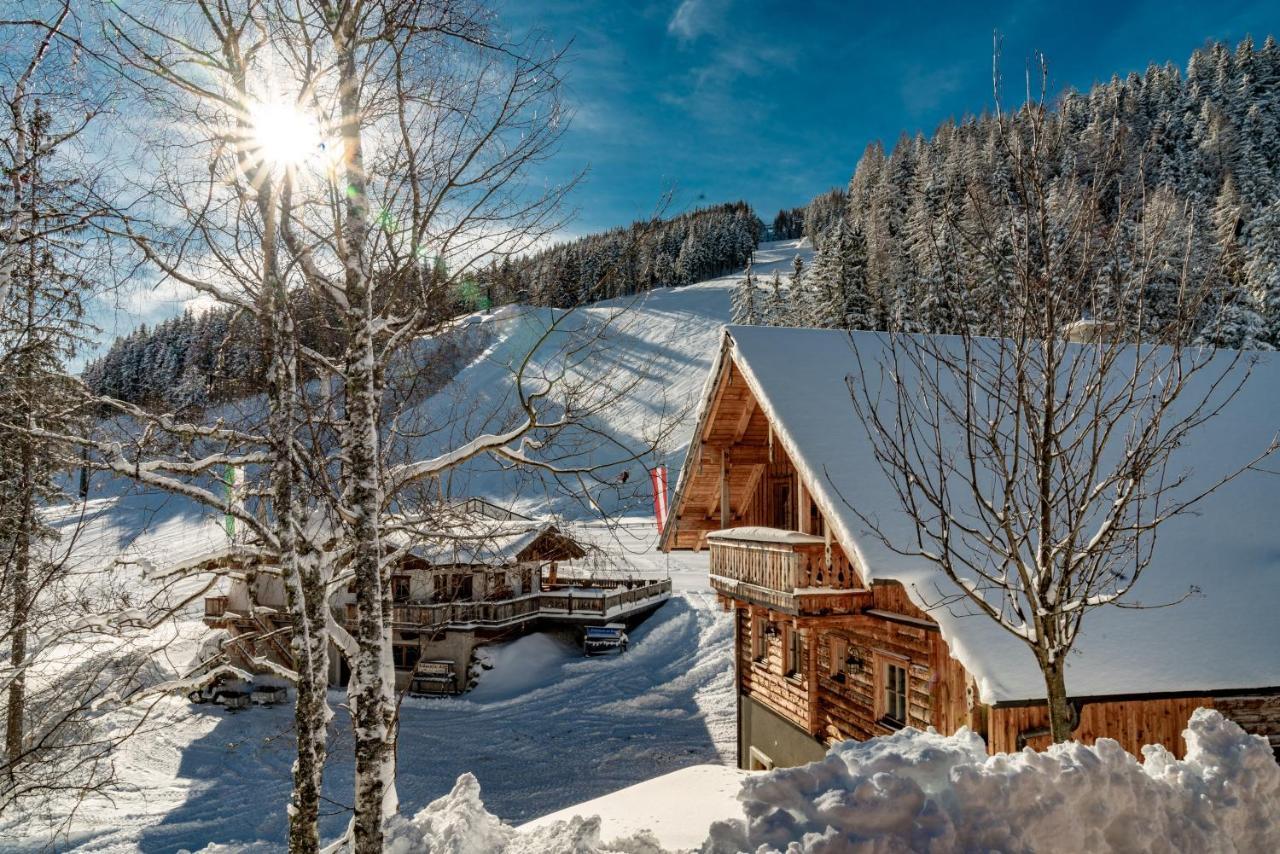 Almwelt Austria 4* Schladming