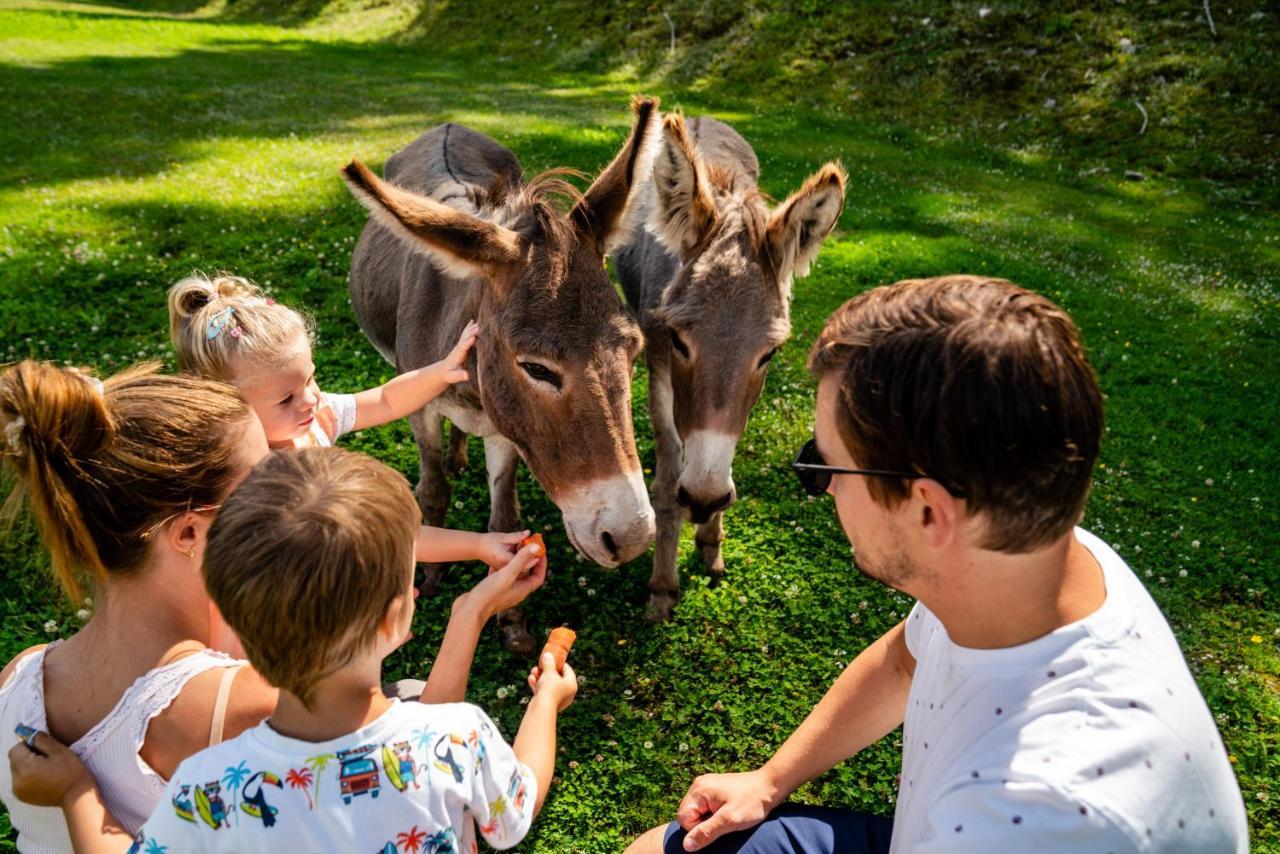 Almwelt Austria Hotel
